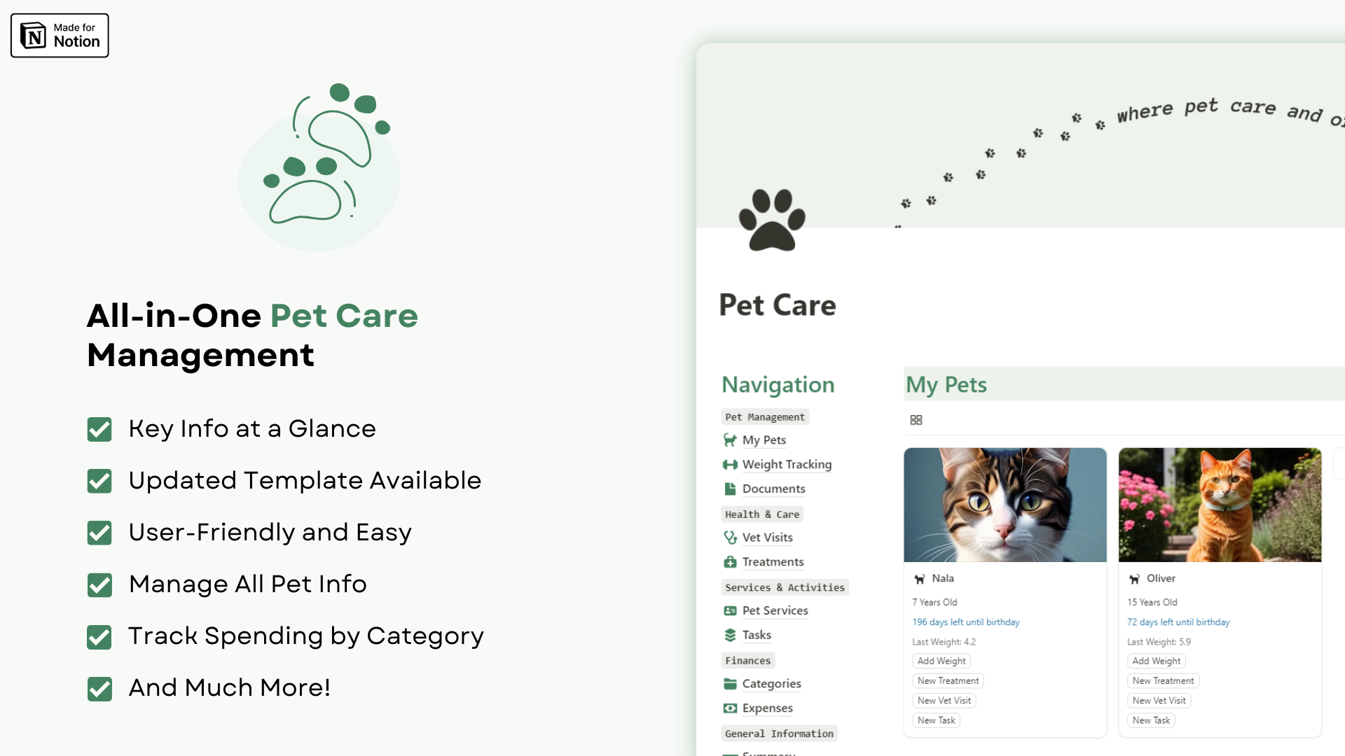 Pet CAre Notion template